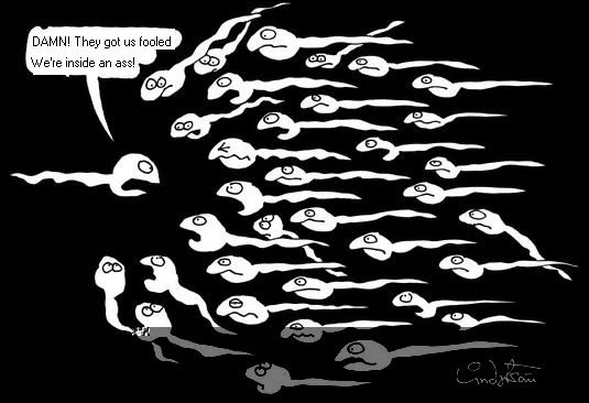 fooledsperm.jpg